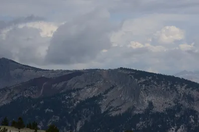 DSC_3103 (Large).JPG